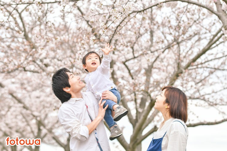 桜を下から見上げる夫婦と子ども
