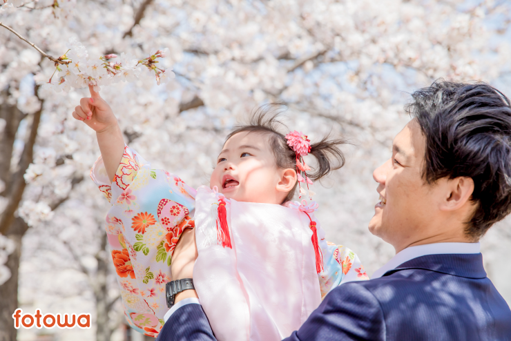 春の七五三で桜に手を伸ばす3歳の女の子と父親