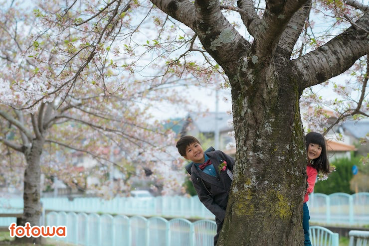 桜の木から顔をのぞかせる子ども