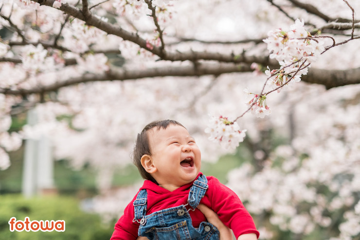 桜の下で笑う子ども