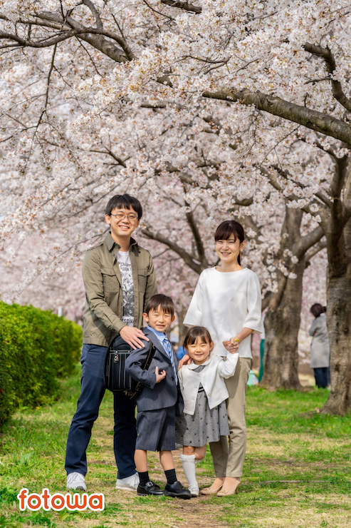 桜の下で撮影された入学祝いの家族写真