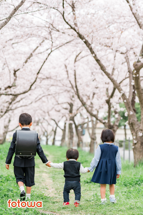 桜の木の下できょうだい3人が歩く後ろ姿を撮影した写真