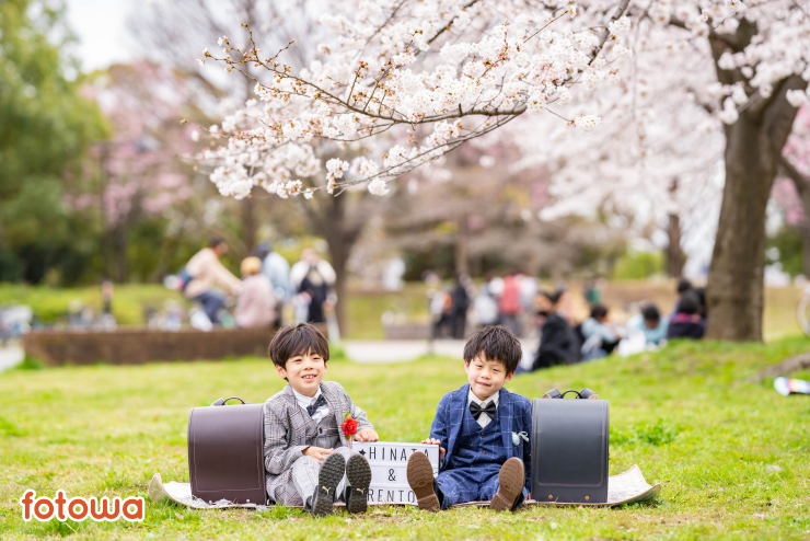 桜満開の公園の芝生に座ったスーツ姿の男の子とランドセルの写真